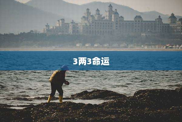 3两3命运