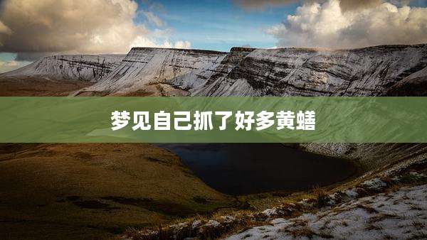梦见自己抓了好多黄蟮