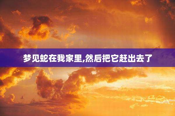 梦见蛇在我家里,然后把它赶出去了
