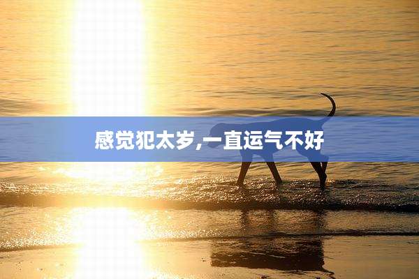 感觉犯太岁,一直运气不好
