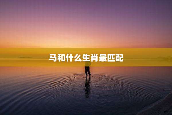 马和什么生肖最匹配