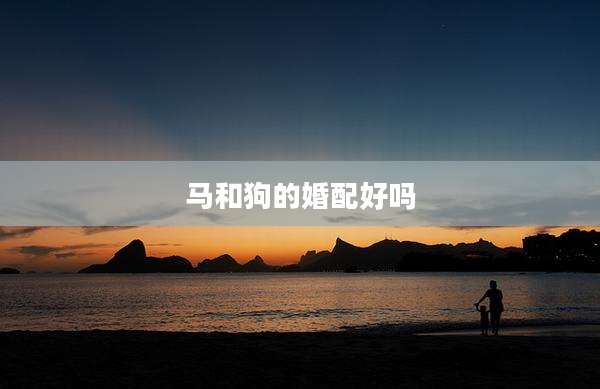 马和狗的婚配好吗