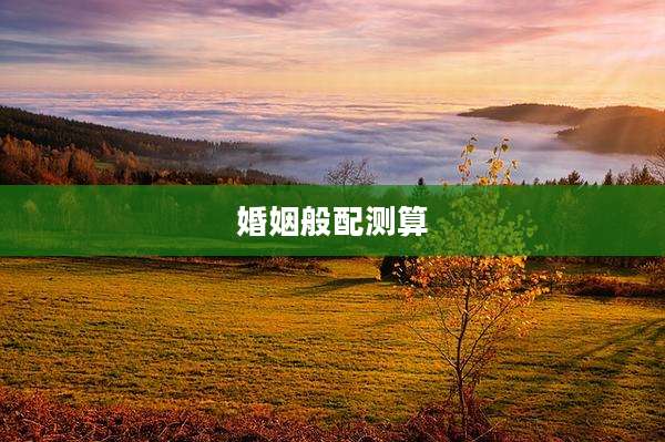 婚姻般配测算