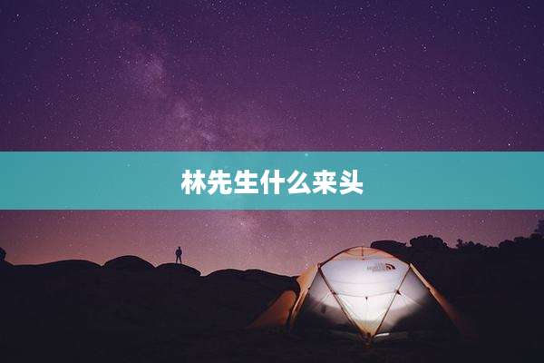 林先生什么来头