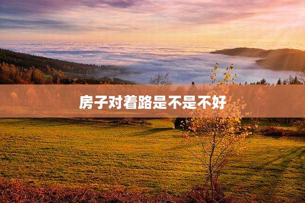 房子对着路是不是不好