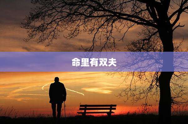 命里有双夫