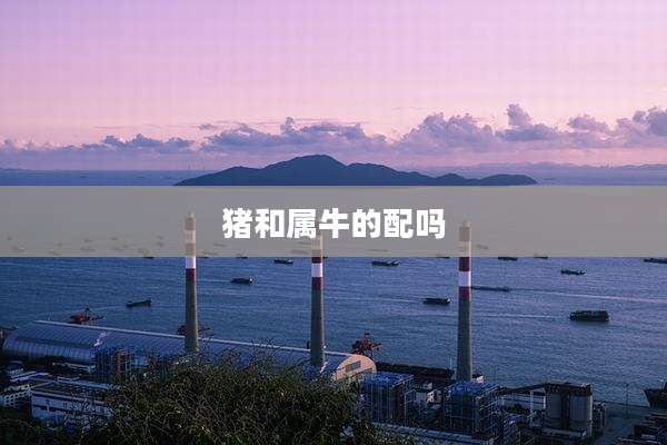 猪和属牛的配吗