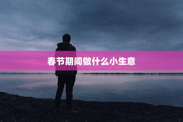 春节期间做什么小生意