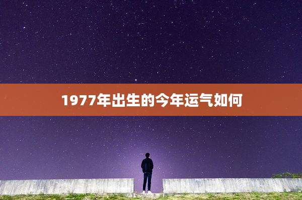 1977年出生的今年运气如何