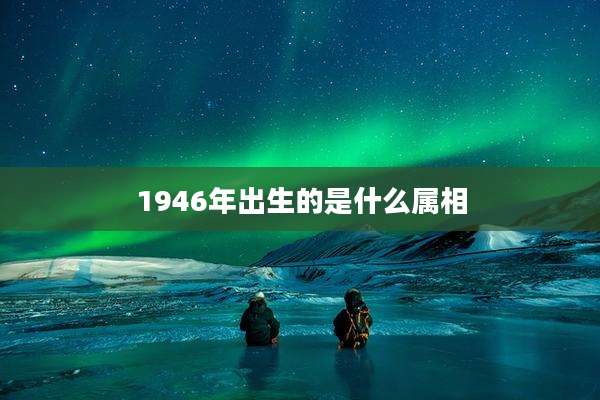 1946年出生的是什么属相