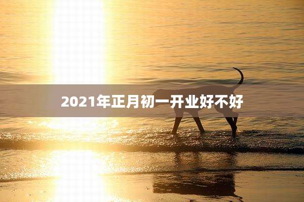 2021年正月初一开业好不好