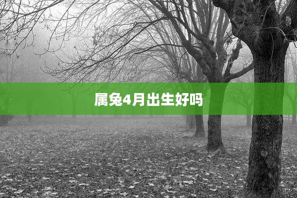 属兔4月出生好吗
