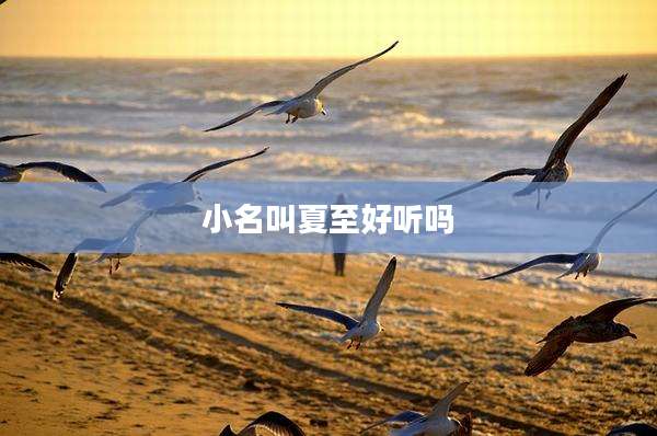小名叫夏至好听吗