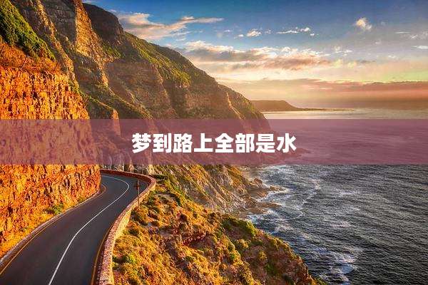 梦到路上全部是水