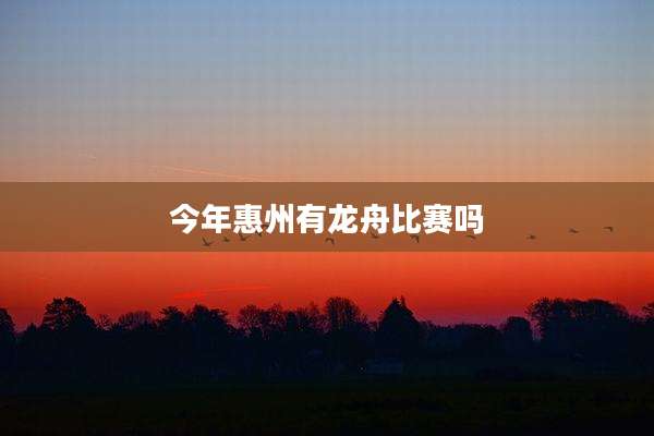 今年惠州有龙舟比赛吗