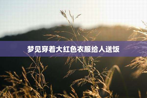 梦见穿着大红色衣服给人送饭