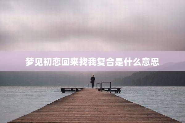 梦见初恋回来找我复合是什么意思