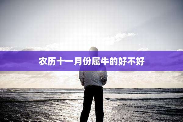 农历十一月份属牛的好不好