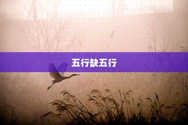 五行缺五行