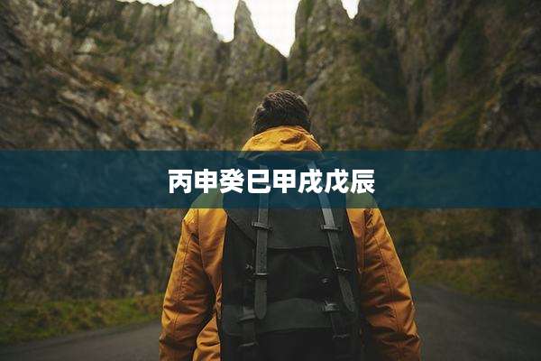 丙申癸巳甲戌戊辰