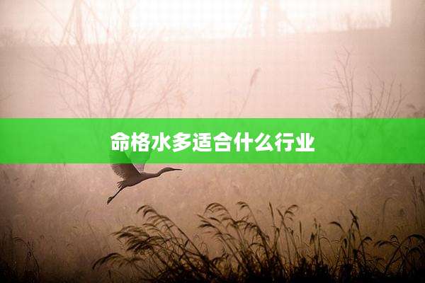 命格水多适合什么行业