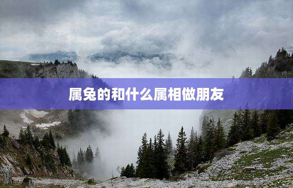 属兔的和什么属相做朋友