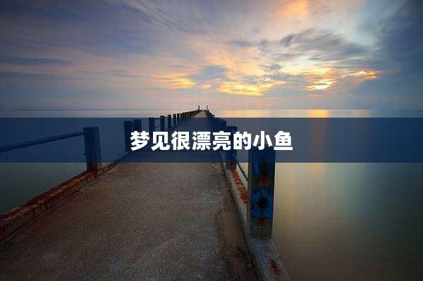 梦见很漂亮的小鱼