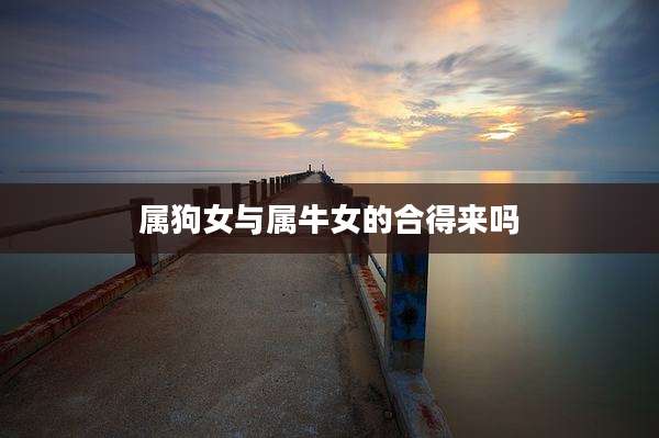 属狗女与属牛女的合得来吗
