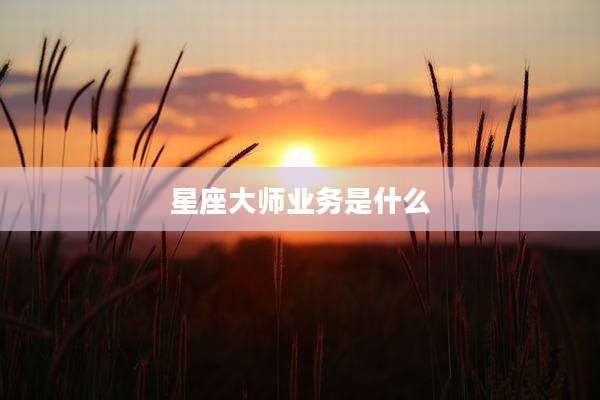 星座大师业务是什么