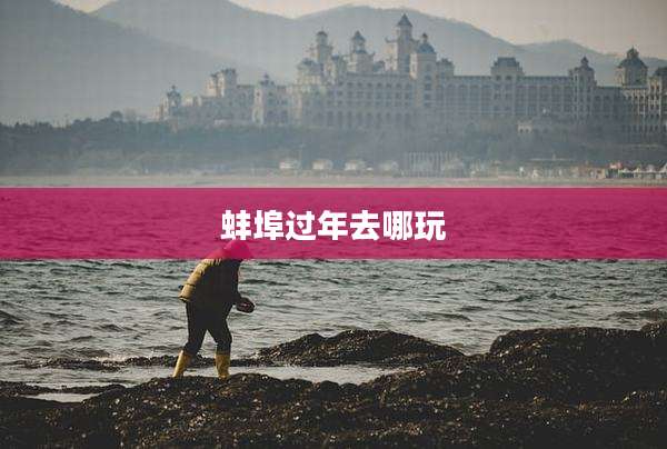 蚌埠过年去哪玩