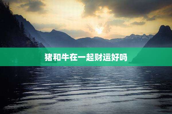 猪和牛在一起财运好吗