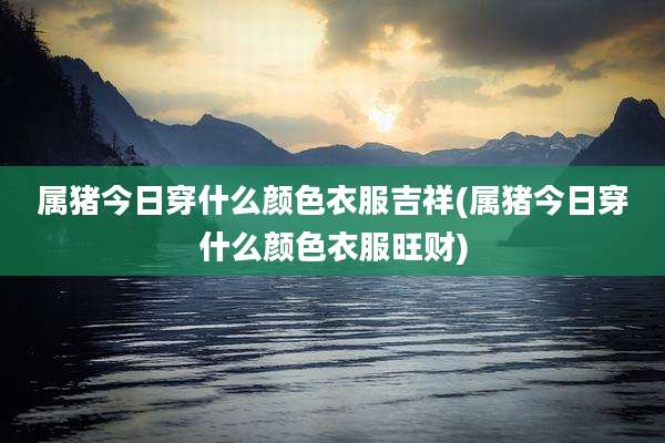 属猪今日穿什么颜色衣服吉祥(属猪今日穿什么颜色衣服旺财)
