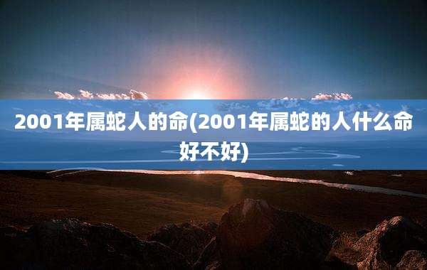 2001年属蛇人的命(2001年属蛇的人什么命好不好)
