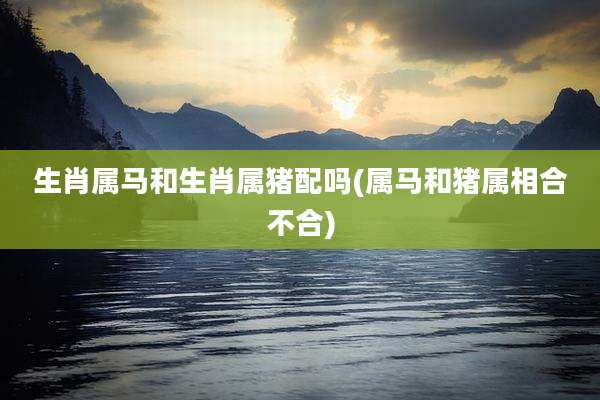 生肖属马和生肖属猪配吗(属马和猪属相合不合)