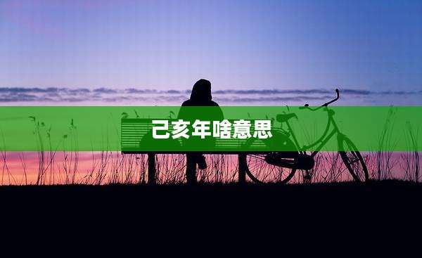 己亥年啥意思