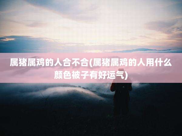 属猪属鸡的人合不合(属猪属鸡的人用什么颜色被子有好运气)