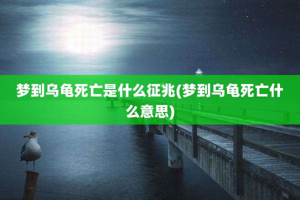 梦到乌龟死亡是什么征兆(梦到乌龟死亡什么意思)