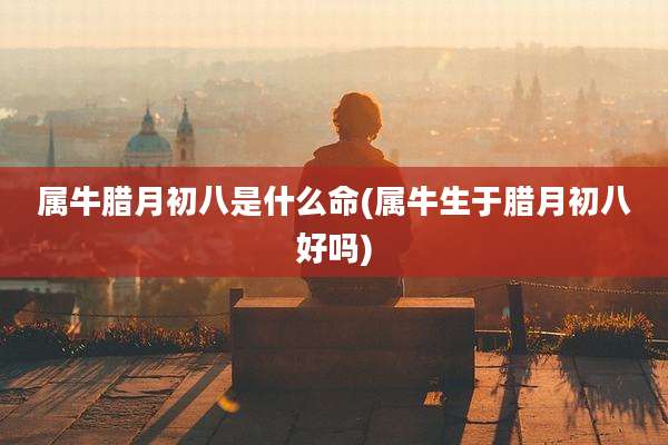 属牛腊月初八是什么命(属牛生于腊月初八好吗)