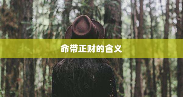 命带正财的含义