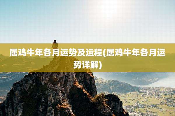 属鸡牛年各月运势及运程(属鸡牛年各月运势详解)