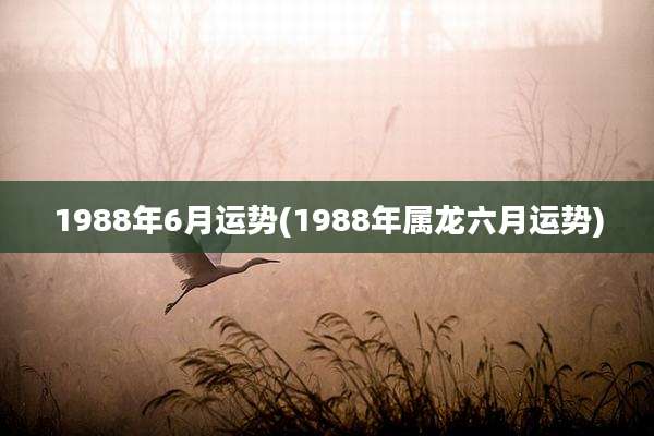 1988年6月运势(1988年属龙六月运势)