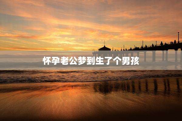 怀孕老公梦到生了个男孩