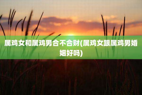 属鸡女和属鸡男合不合财(属鸡女跟属鸡男婚姻好吗)