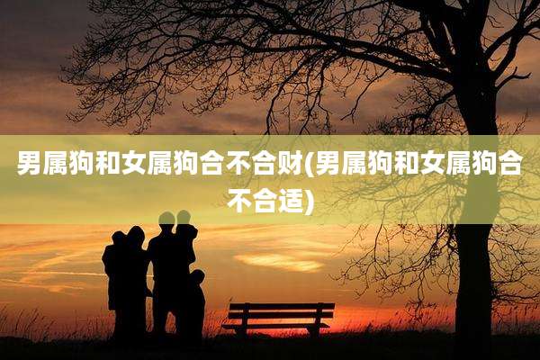 男属狗和女属狗合不合财(男属狗和女属狗合不合适)