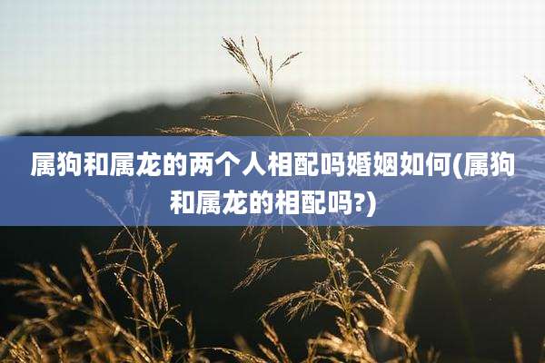 属狗和属龙的两个人相配吗婚姻如何(属狗和属龙的相配吗?)