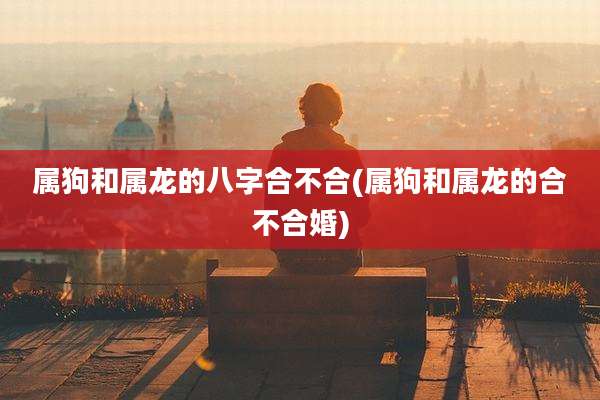 属狗和属龙的八字合不合(属狗和属龙的合不合婚)