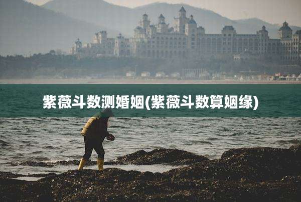 紫薇斗数测婚姻(紫薇斗数算姻缘)