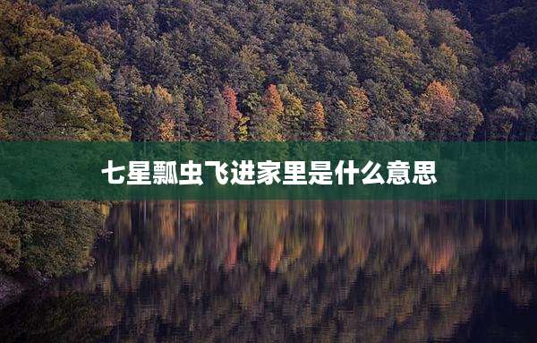 七星瓢虫飞进家里是什么意思
