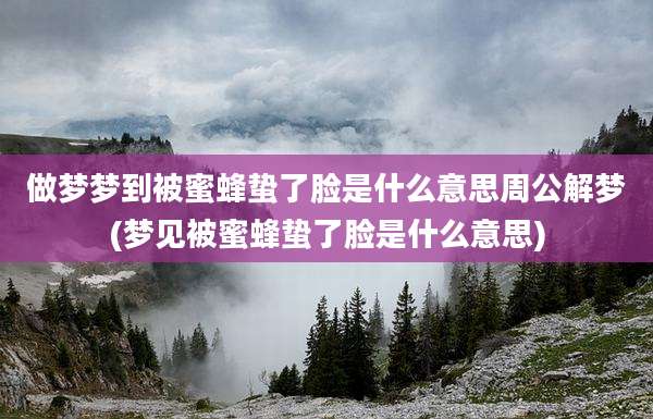 做梦梦到被蜜蜂蛰了脸是什么意思周公解梦(梦见被蜜蜂蛰了脸是什么意思)