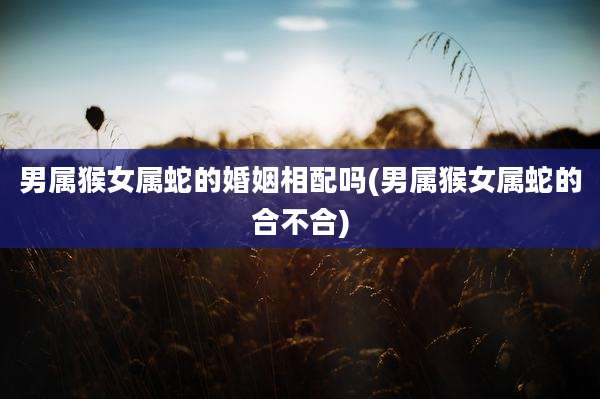 男属猴女属蛇的婚姻相配吗(男属猴女属蛇的合不合)